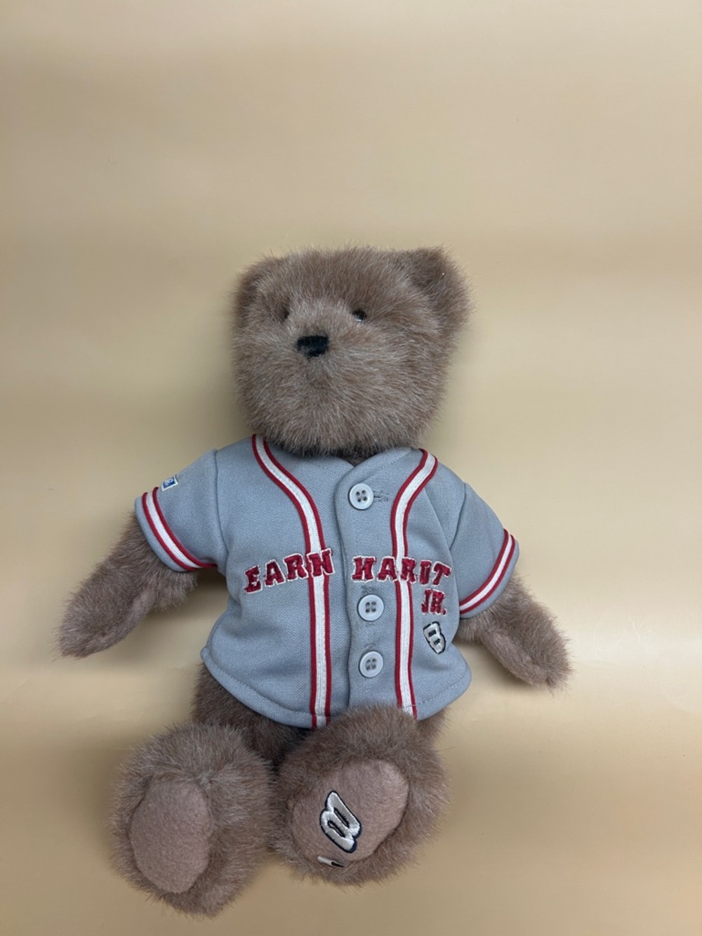 NASCAR BOYDS BEARS THE BOYDS COLLECTION DALE EARNHARDT JR. #8 JOINTED 2006